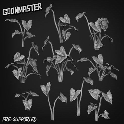 Syngonium podophyllum basing - -,