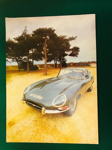 Jaguar type coupe - type, 250