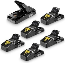 Pack mouse trap mice - pack, traps