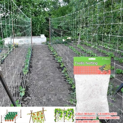 Plant climbing net - climbing,