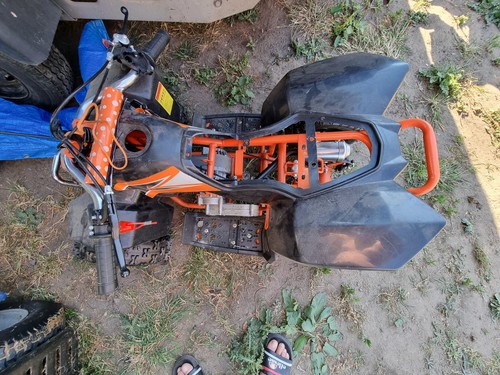 Petrol kids quads - kids, or