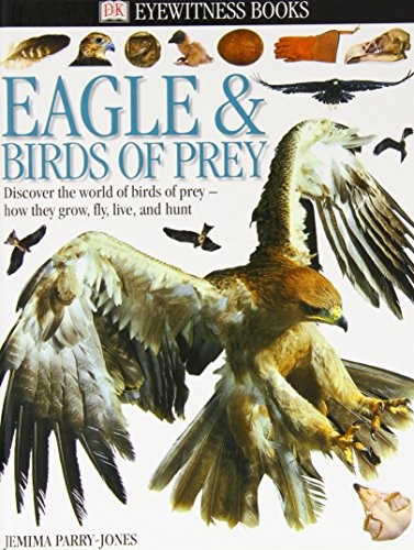 Eagles and birds prey dk - eagles,