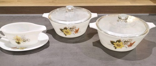 Jaj pyrex autumn glory england - jaj,