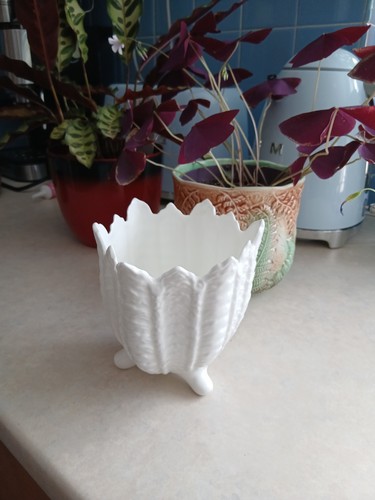 Coalport countryware fine bone - coalport,