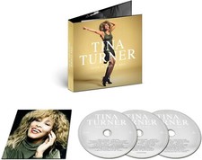 TINA TURNER QUEEN OF ROCK N