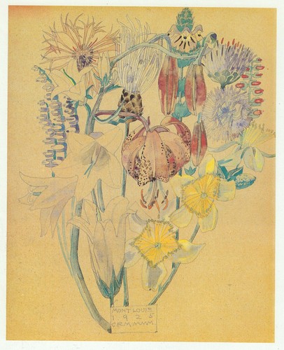 Mont louis flowers - louis,