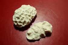 Vintage Brain Coral two pieces