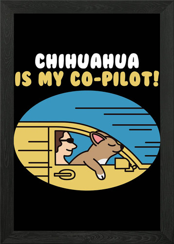 Chihuahua co pilot - my,