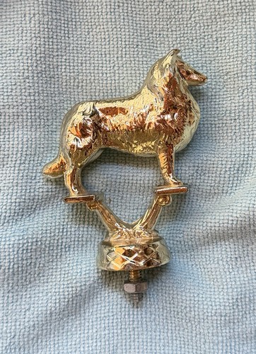 Vintage collie sheltie - collie/sheltie, golden