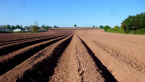 Photo 6x4 arable land - photo, kings