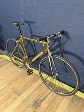Gold Ridgeback Genesis Day-01