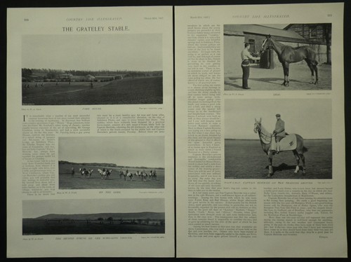 Horse racing grately stable - horse,