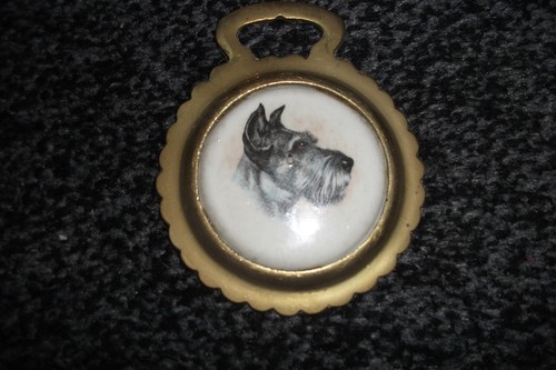 Ceramic centre horse brass - ceramic,