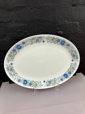 Wedgwood Clementine Oval Carving Serving Platter Plate 15.75" x 11.5"