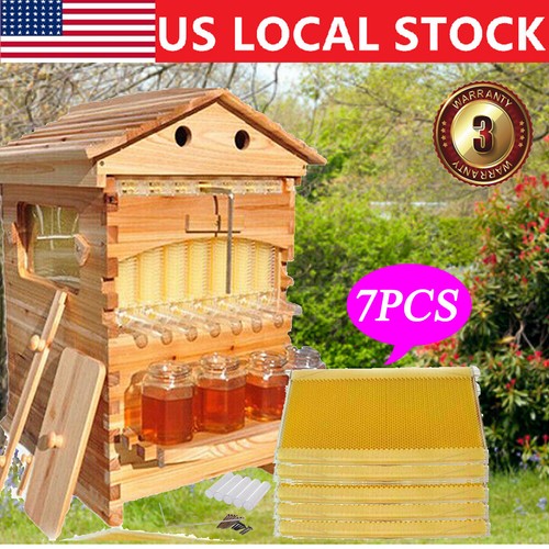 7pcs auto seeping honey bee - auto,