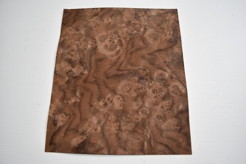 Walnut burr burl - walnut,