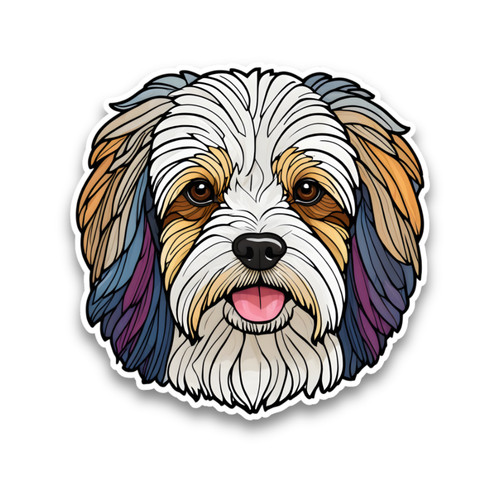 Havanese dog puppy stained - dog,