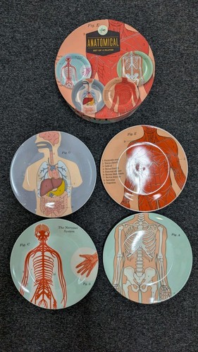 Set anatomical 19cm - 4,