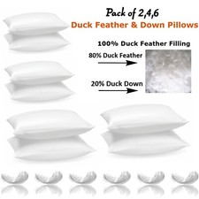 Duck Feather & Down Pillows