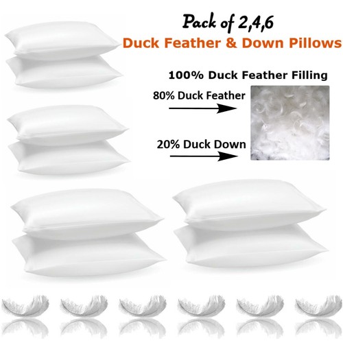 Duck feather down pillows - &,