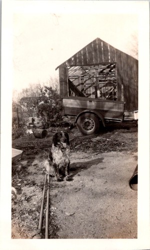 Vintage original photograph - original,