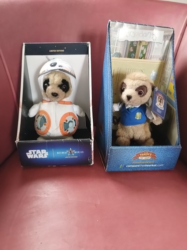 Meerkat bogdan and bb8 - and,
