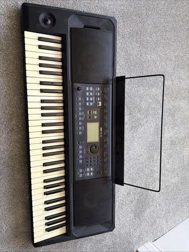 Korg digital entertainer - digital,