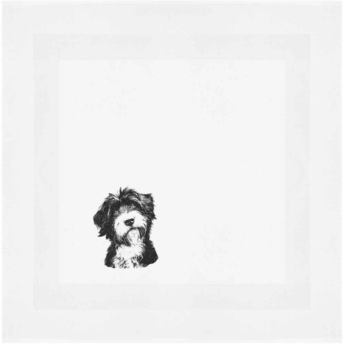Tibetan terrier portrait - terrier, portrait'