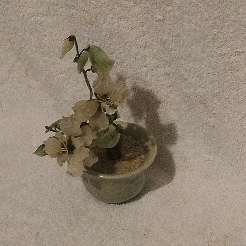 Vintage bonsai tree jade stone - tree,