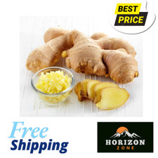 Fresh Ginger Roots Root Fiery