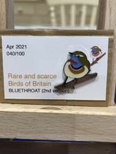 RSPB Interest BLUETHROAT Quality Enamel BIRD Pin Badge,  Rare & Scarce