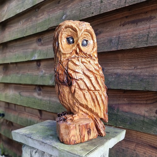 Chainsaw carved owl - carved,