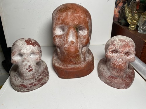 Latex rubber skull casting