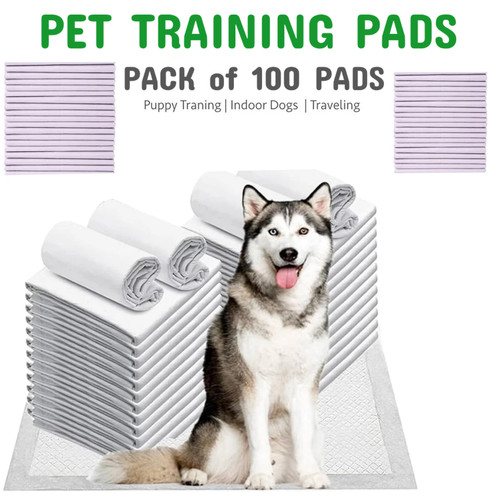 100x puppy training pads large - training,