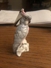 Crown Staffordshire Porcelain