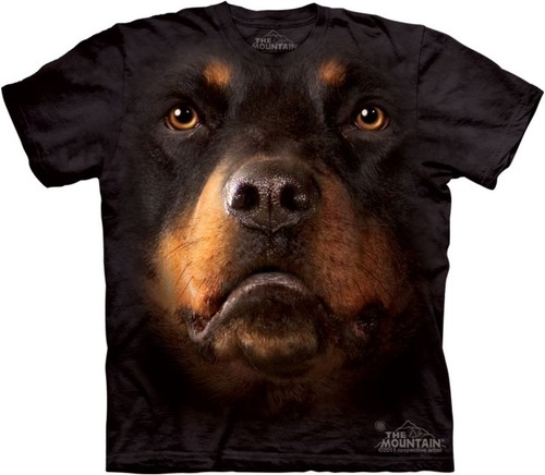 The mountain rottweiler dog - the,