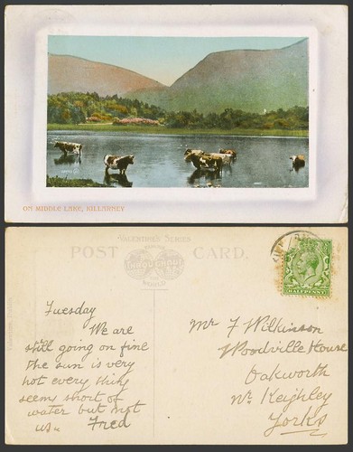 Ireland 1915 old - ireland,