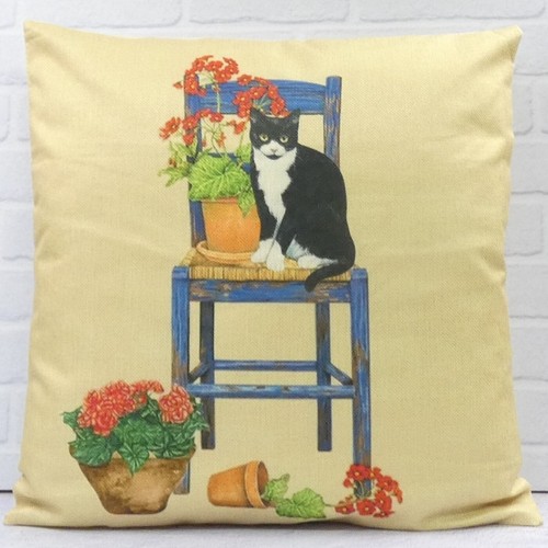 Black white cat - on, chair