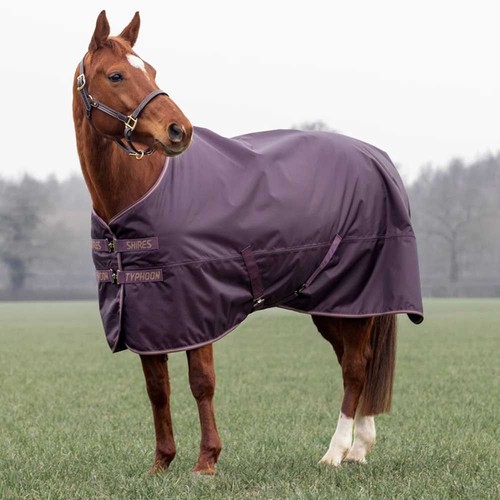 Shires typhoon 100g turnout - 100g,