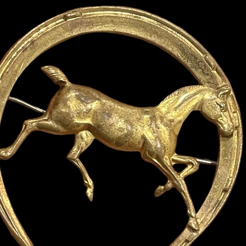Horseshoe pin running - pin, horse