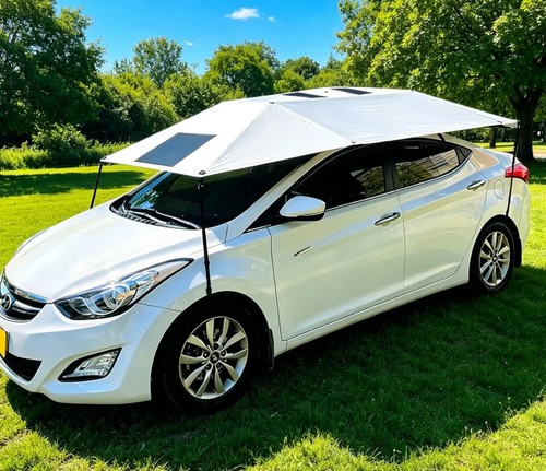 Car sunshade canopy - car,
