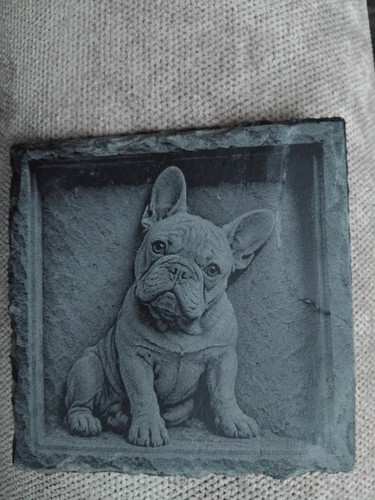 French bulldog slate - bulldog,