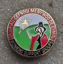 Welsh Womens Support Group