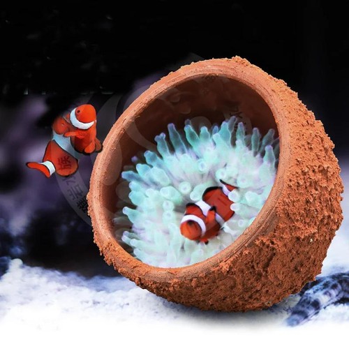 Hand made aquarium reef - made, tank