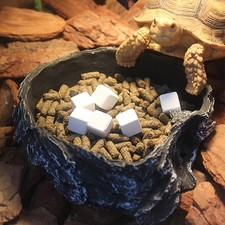 6 Pcs Calcium Block Reptile