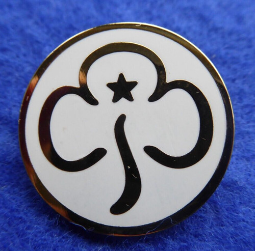 Vintage girl guide young - vintage,