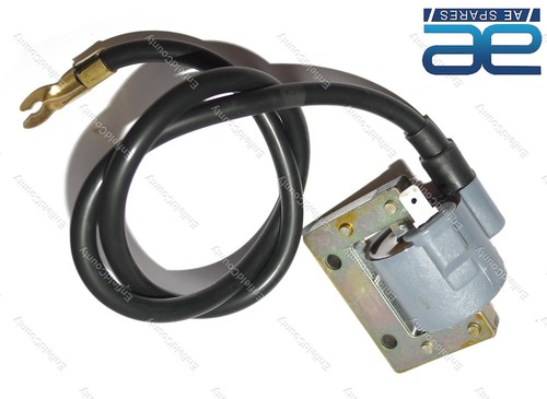 Ignition coil for - coil, chetak