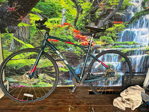 Transeo mountain bike - gt,