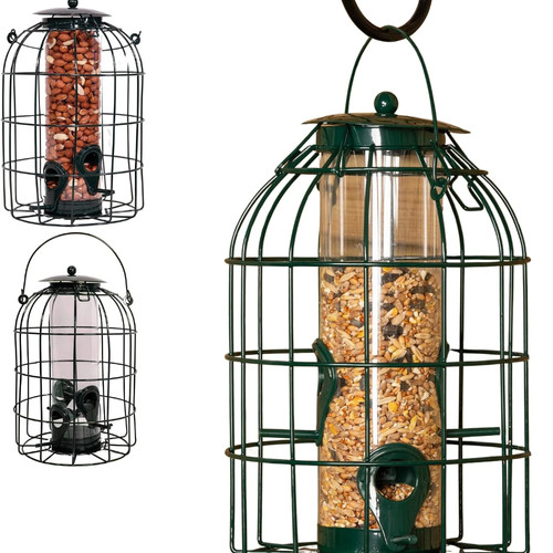 Squirrel proof bird - proof, feeder