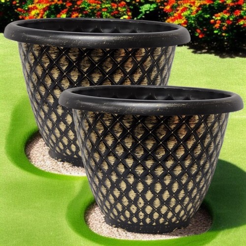 Inch plant pots - plant, set